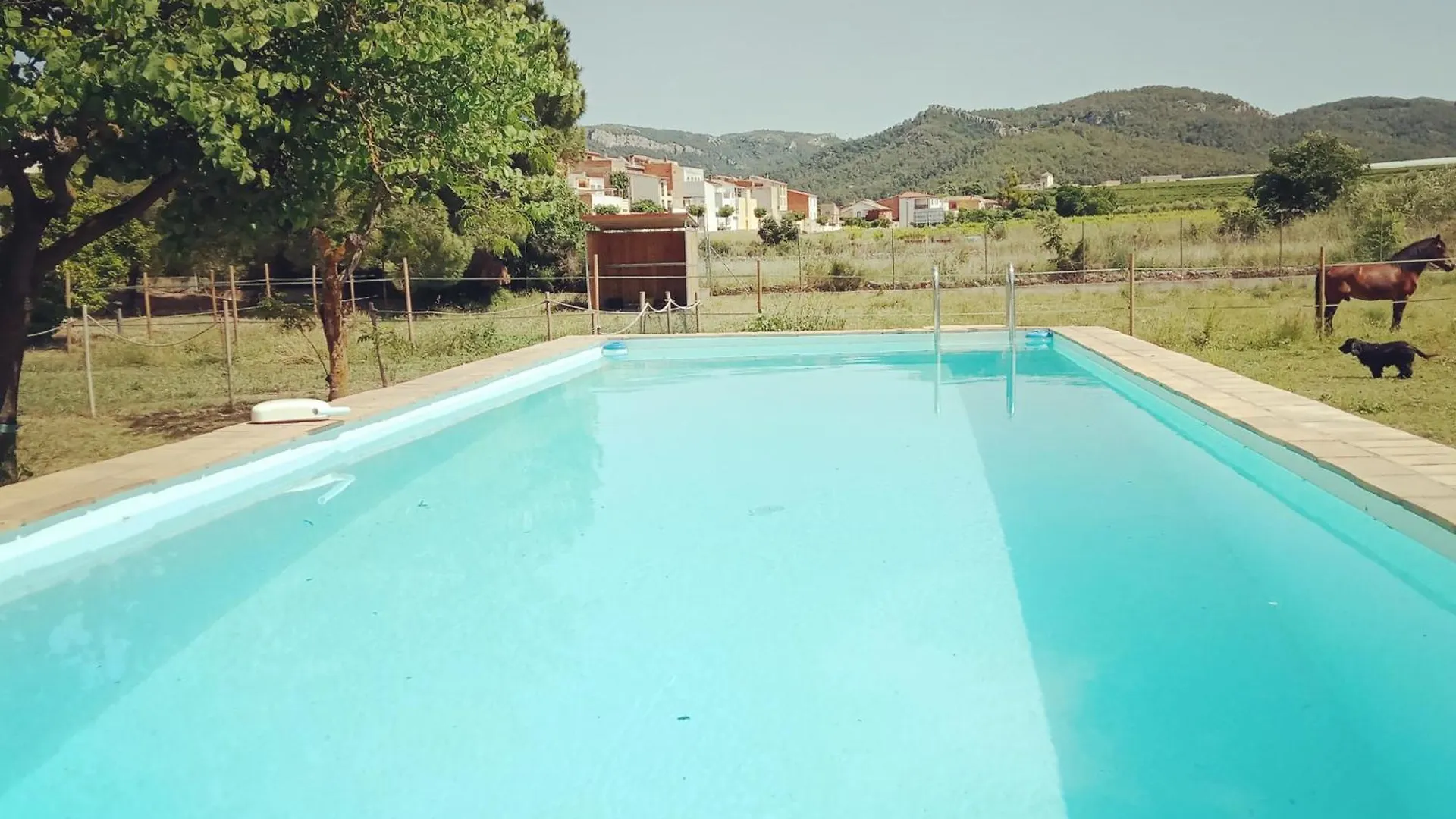 Сasa de vacaciones Villa Les Violetes Serra de Almos España